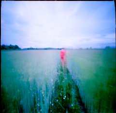 colours in pinhole